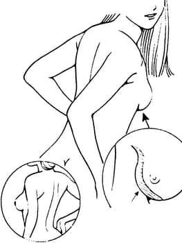 Tutorial of drawing a female body. Drawing the human body, step by step lessons. Female breast drawing tutorial. Drawing a woman's body with an emphasis on breasts.