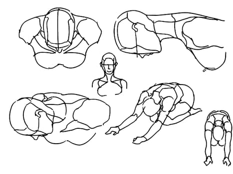 Tutorial of drawing a female body. Drawing the human body, step by step lessons.