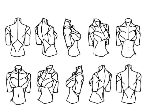 Tutorial of drawing a female body. Drawing the human body, step by step lessons.