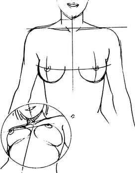 Tutorial of drawing a female body. Drawing the human body, step by step lessons. Female breast drawing tutorial. Drawing a woman's body with an emphasis on breasts.