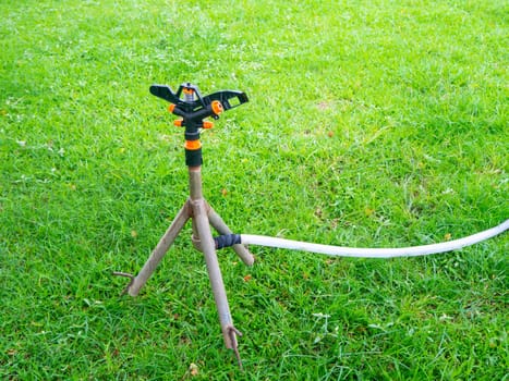 Watering plants and lawns in the garden is the selective focus of Springer.