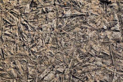 Background texture of plants frozen in ice turned brown