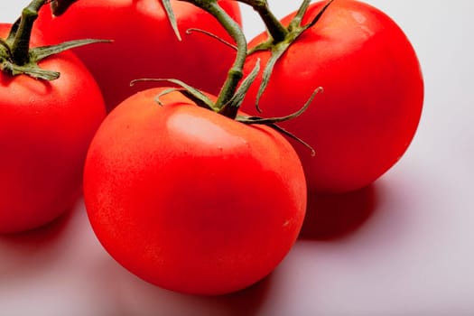 Wet Juicy Tomatoes on the Vine