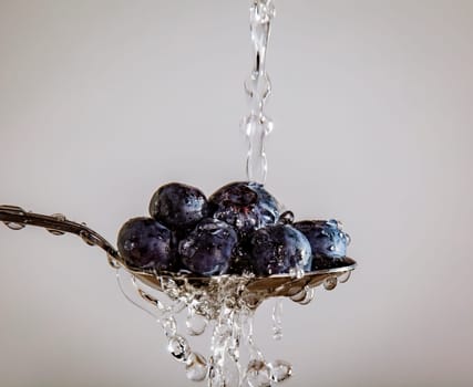 Blueberries on a Spoon being washed, on a white background