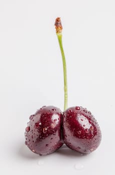Wet Double Cherry Stem on white background