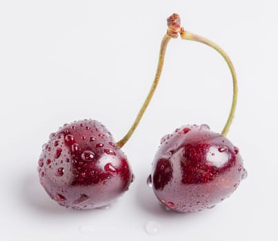 Wet Double Cherry Stem on white background