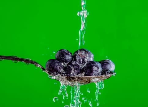 Blueberries on a Spoon being washed, on a green background