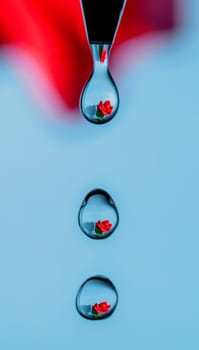 A rose caught reflected in a series of drips of water from a faucet