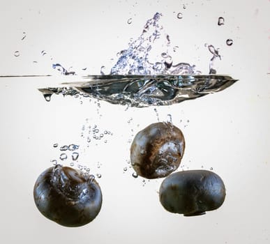 White Mushrooms Dropping Into Water