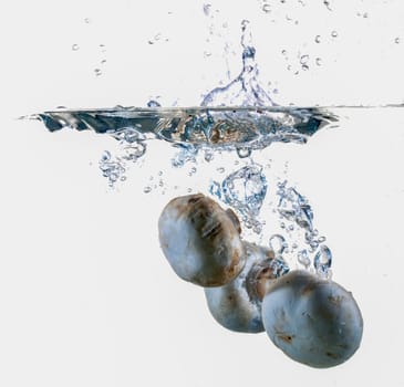 White Mushrooms Dropping Into Water
