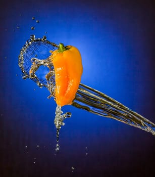Water Splashes on Orange Mini Bell