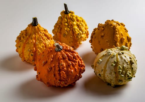 Five Decorative Gourds on a White Background