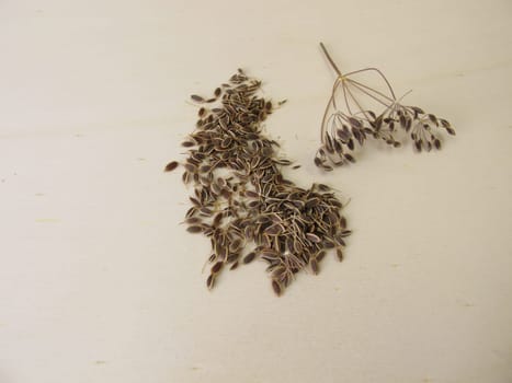 Dried dill seeds on a wooden board