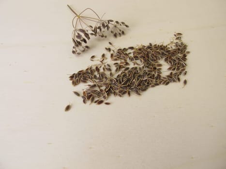 Dried dill seeds on a wooden board