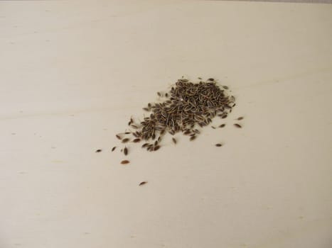 Dried dill seeds on a wooden board