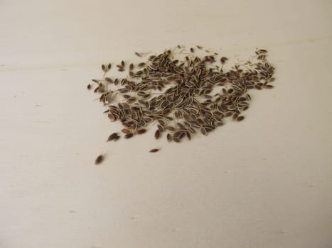 Dried dill seeds on a wooden board