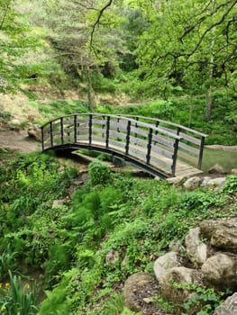 Small Wooden Bridge In Nature, French Alps Mountain, Alpes-Maritimes, France