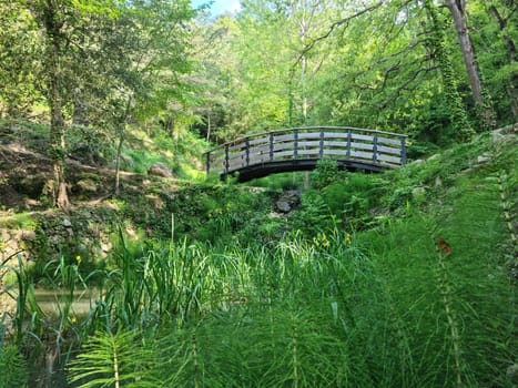 Small Wooden Bridge In Nature, French Alps Mountain, Alpes-Maritimes, France