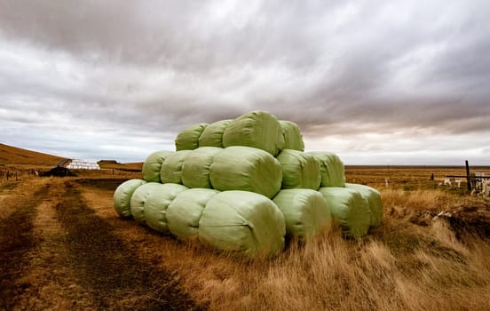 Bales of hay bundled to protect from weather, and ready for transport to barn