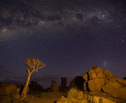 The Milky Way shines over quivertrees in Namibia