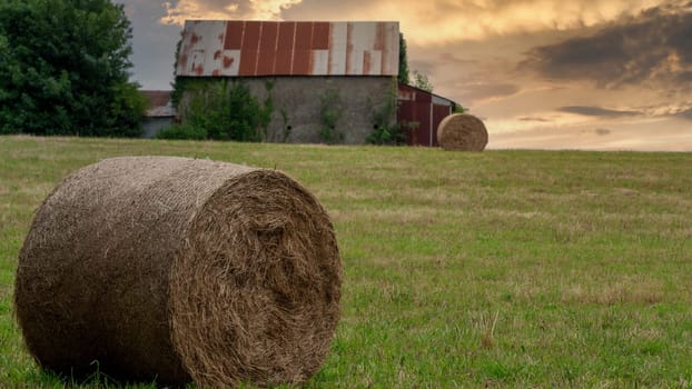 Straw bales on farmland in a  summertime