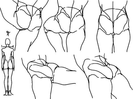 Tutorial of drawing a female body. Drawing the human body, step by step lessons.