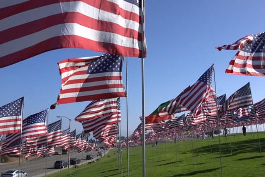 American flags on the lawn. Lots of American flags.