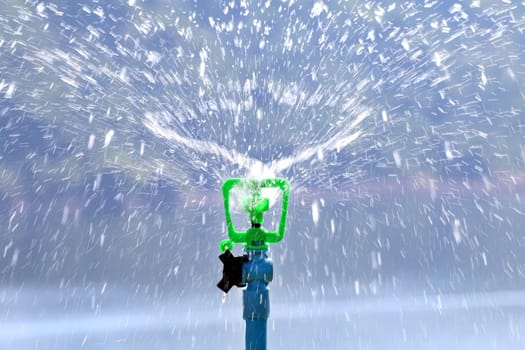 sprinkler water automatic in garden for watering grass