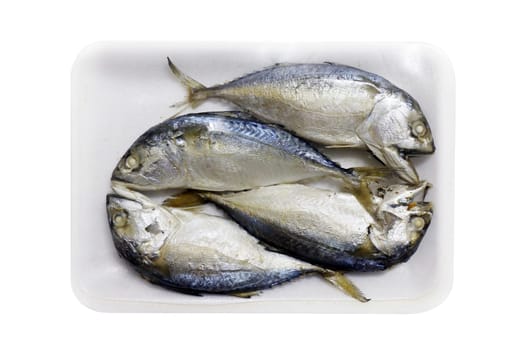 Raw mackerel fish steamed in foam tray, Platow, pla2, with plastic wrap foam