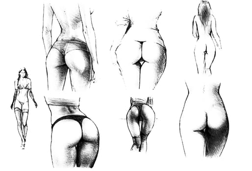 Tutorial of drawing a female body. Drawing the human body, step by step lessons.