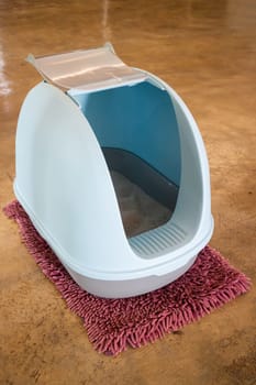 Cleaning cat litter box place, stock photo