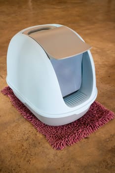 Cleaning cat litter box place, stock photo