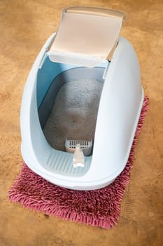 Cleaning cat litter box place, stock photo