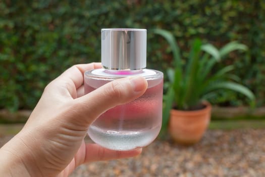 Woman hand show and hold perfume bottle, stock photo