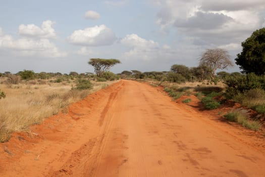 A way with red soil throught the savanna with a lot of trees and green plants