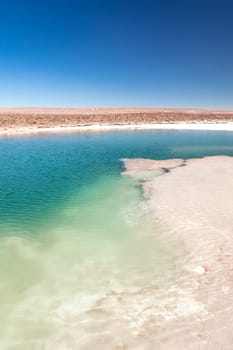 Hidden lagoon Baltinache (Lagunas escondidas Baltinache) Atacama Desert, Chile. South America.