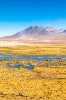 Scenic road in the Atacama desert, Chile. South America.