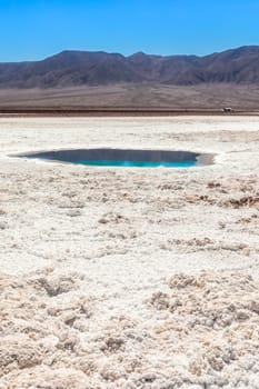 Hidden lagoon Baltinache (Lagunas escondidas Baltinache) Atacama Desert, Chile. South America.
