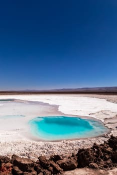 Hidden lagoon Baltinache (Lagunas escondidas Baltinache) Atacama Desert, Chile. South America.