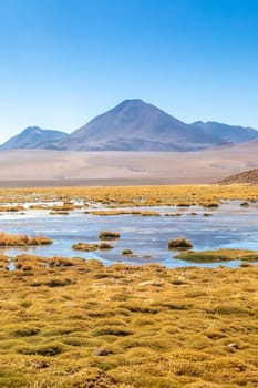 Scenic road in the Atacama desert, Chile. South America.