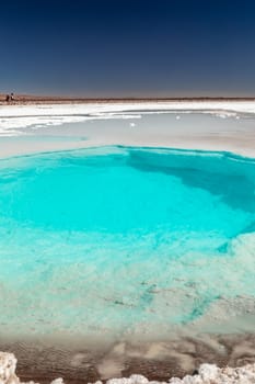Hidden lagoon Baltinache (Lagunas escondidas Baltinache) Atacama Desert, Chile. South America.