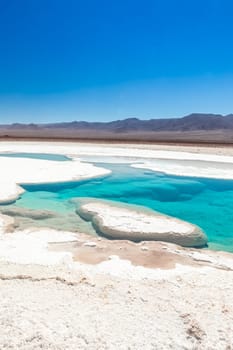 Hidden lagoon Baltinache (Lagunas escondidas Baltinache) Atacama Desert, Chile. South America.