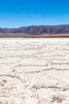 Hidden lagoon Baltinache (Lagunas escondidas Baltinache) Atacama Desert, Chile. South America.