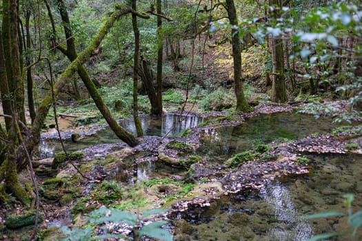 Waterfall in the forrest in the Park known as El Cielo, in the Mexican State of Tamaulipas