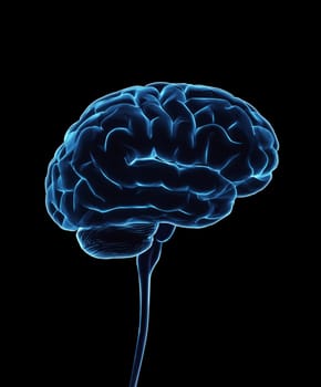 Central nervous system. Brain and spinal cord with clipping path included. Conceptual brain 3D illustration.