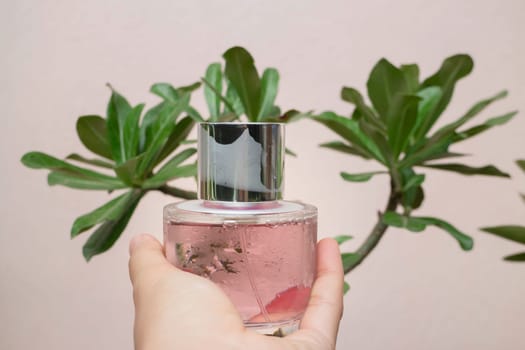 Woman hand show and hold perfume bottle, stock photo