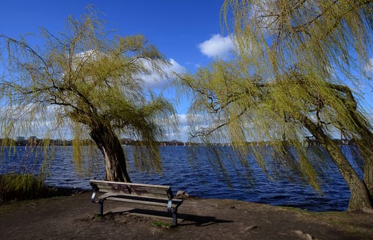 Willows