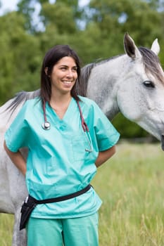 Veterinary great performing a scan to a young mare