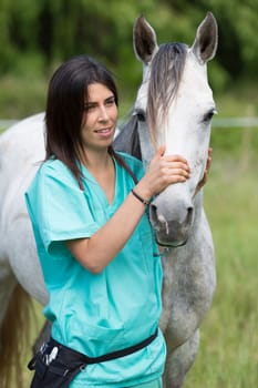 Veterinary great performing a scan to a young mare