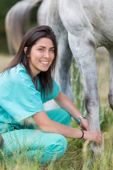 Veterinary great performing a scan to a young mare